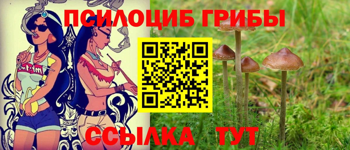 Псилоцибиновые грибы Magic Shrooms  Вход с VPN  Калининград 